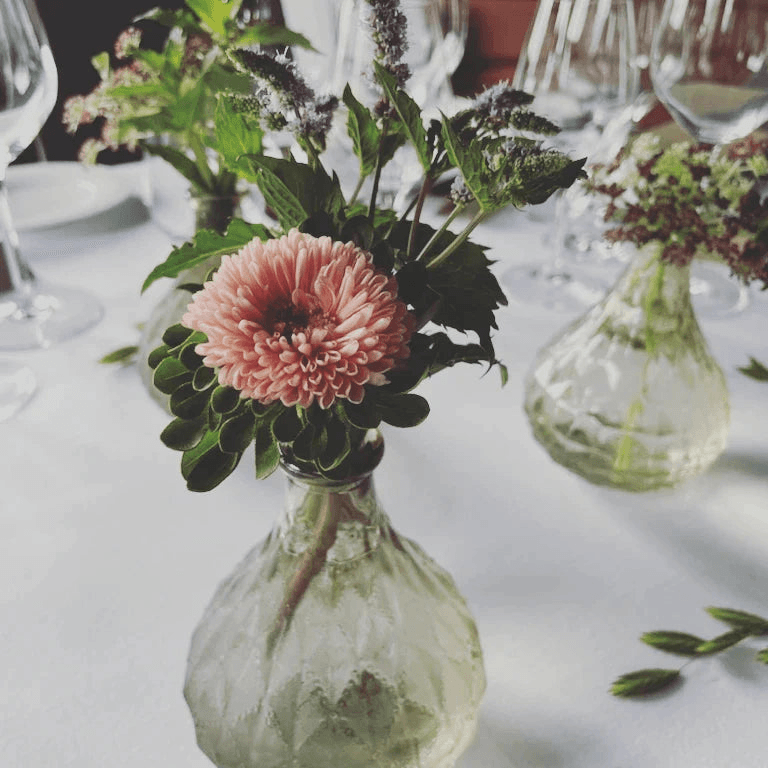 Botanisk inspirasjon